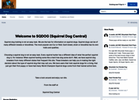 sqdog.com sqdog.com