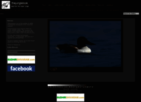 thejunglelook.com thejunglelook.com