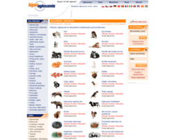 zwierzeta.hiperogloszenia.pl zwierzeta.hiperogloszenia.pl